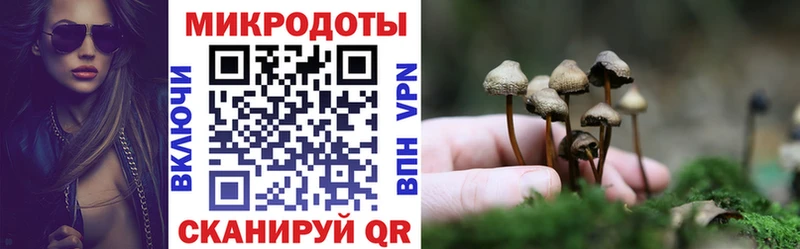 где найти   Чистополь  Галлюциногенные грибы Psilocybine cubensis 